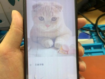 组装手机的长期使用对手机有何影响？（了解组装手机的长期使用可能带来的问题和解决方法）