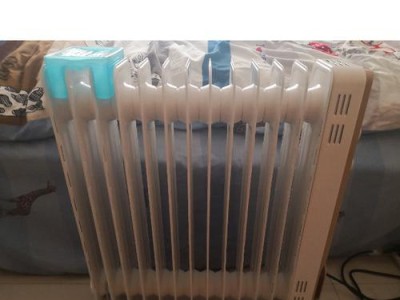 电热油汀取暖器的优势和使用技巧（高效节能，舒适温暖的取暖选择）