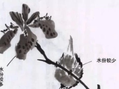 学习4100接力教程，轻松掌握接力技巧（以4100接力教程为主题，教你掌握接力的技巧和要领）