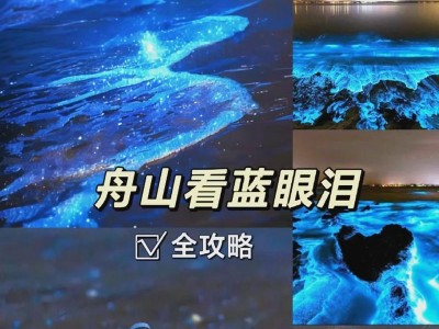 GT620M1G独显（全方位评估及实际应用场景分析）