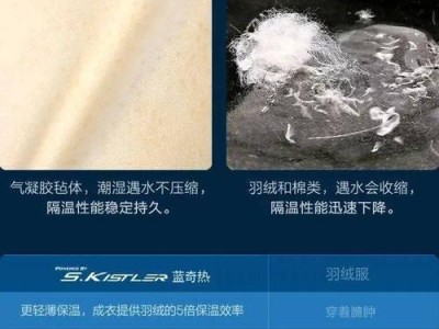 极限动力凝胶（发现极限潜能，迈向卓越运动）
