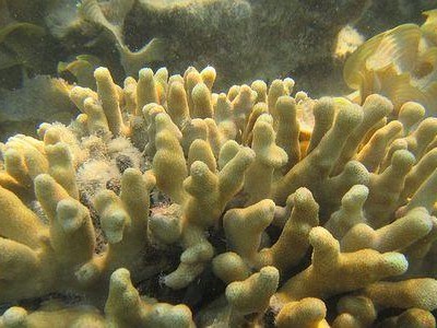 佳能D30相机的优势与特点剖析（深入解读佳能D30相机的功能与性能，为您选择提供参考）