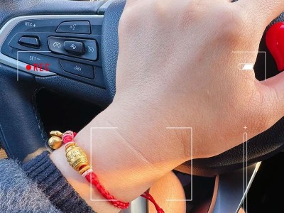 探究电脑错误指令2114的原因与解决方法（深入解读电脑错误指令2114的影响和应对策略）