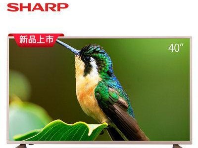 夏普40寸4k电视如何？（一探究竟，了解夏普40寸4k电视的特点和优势）