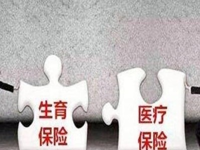 生育津贴新政策（为鼓励生育、提供全面支持的新举措）