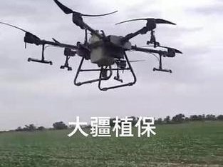 加入大疆植保队，开启未来农业的新征程（探索植保技术创新，共享智慧农业发展）