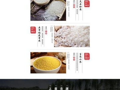 领飞电商（一站式电商服务平台，助力企业快速发展）