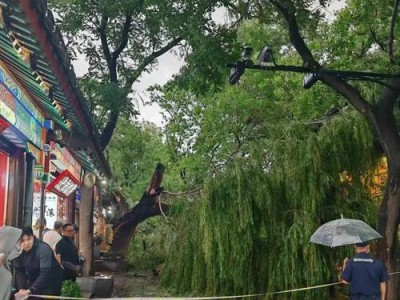 被雷电劈中会怎么样？（揭开雷电劈中的神秘面纱，深入探索其影响与救治方法）
