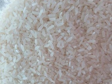 大米修手机（探索大米修手机的效果和适用情况）