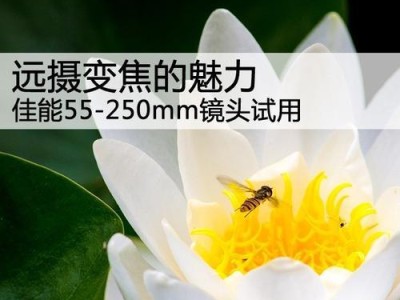佳能55一250镜头的性能与特点（探索佳能55一250镜头的画质和拍摄功能）