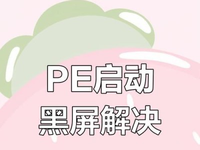 电脑进PE系统显示错误的解决方法（解决PE系统显示错误的关键步骤及注意事项）