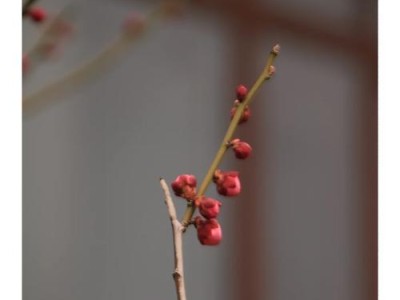 佳能750D拍摄视频效果如何？（佳能750D摄像功能评测及相关技巧分享）