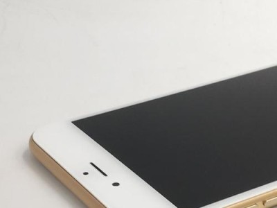 苹果6s升级10.3.1系统的优劣分析（为何选择升级及系统的特点和影响）