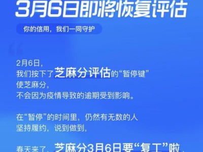 芝麻信用关闭后的影响与解决方案（探讨芝麻信用关闭对个人信用评估的影响及可行的替代方案）