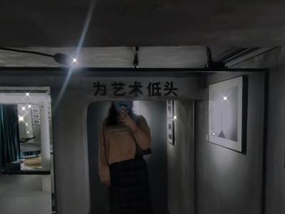 揭秘无秘会（探究起诉无秘会所带来的法律和社会影响）