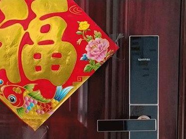 斑点猫指纹锁（进入智能时代的新选择，保护您的家居安全与隐私）