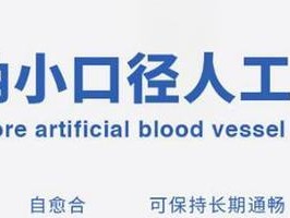 励石创投（以投资为纽带，助力创业者成就梦想）
