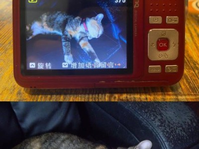 明基手机综合评测（以明基手机怎么样为主题，全面分析其性能、设计、摄影等方面表现）
